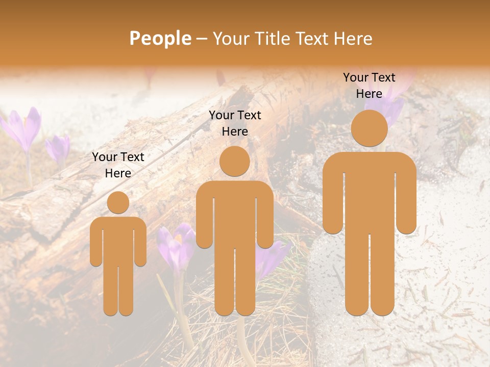 Snowdrops PowerPoint Template