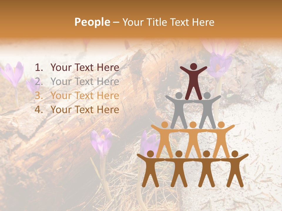 Snowdrops PowerPoint Template