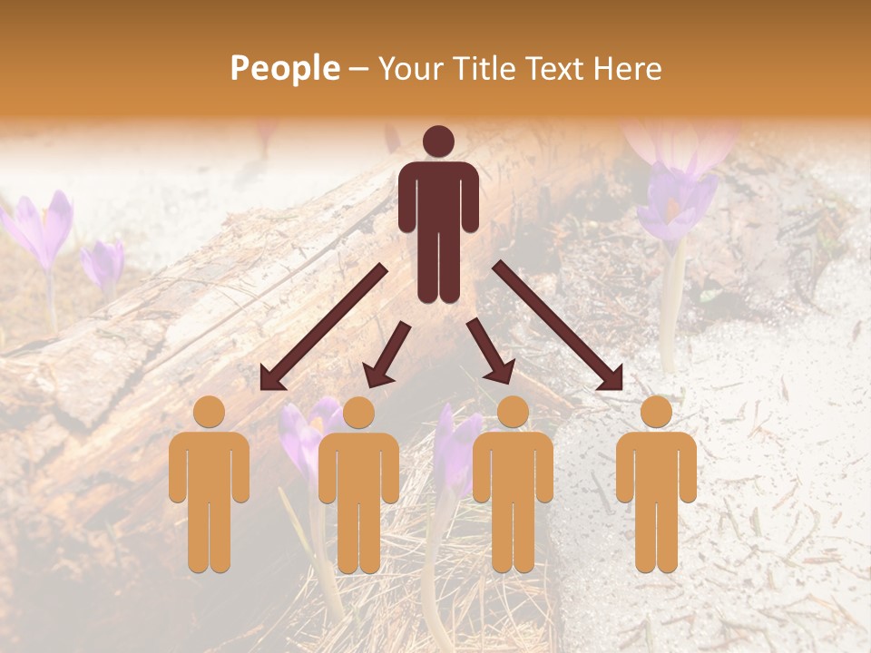 Snowdrops PowerPoint Template