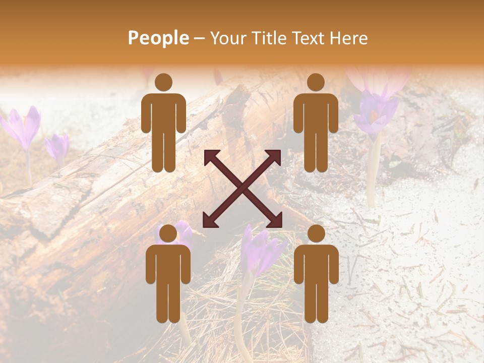 Snowdrops PowerPoint Template