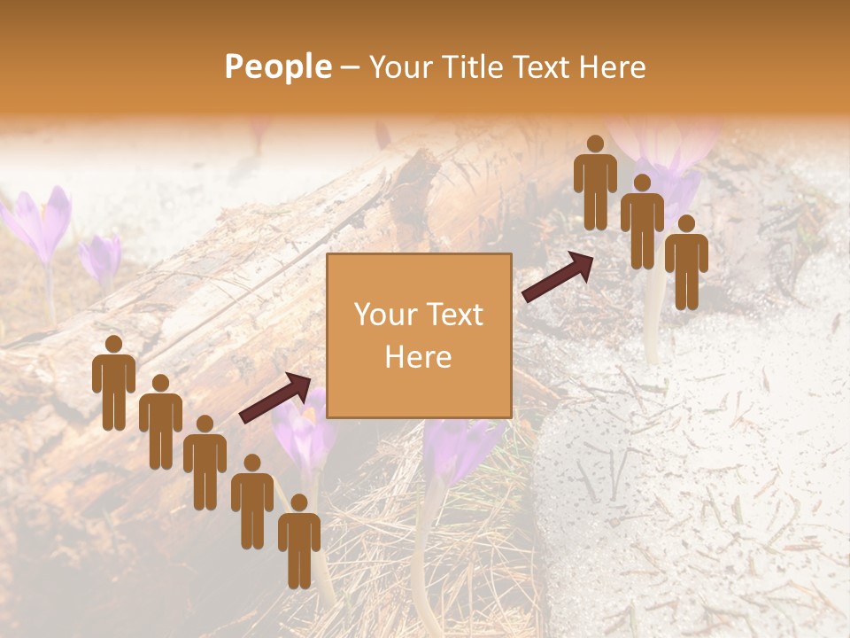 Snowdrops PowerPoint Template