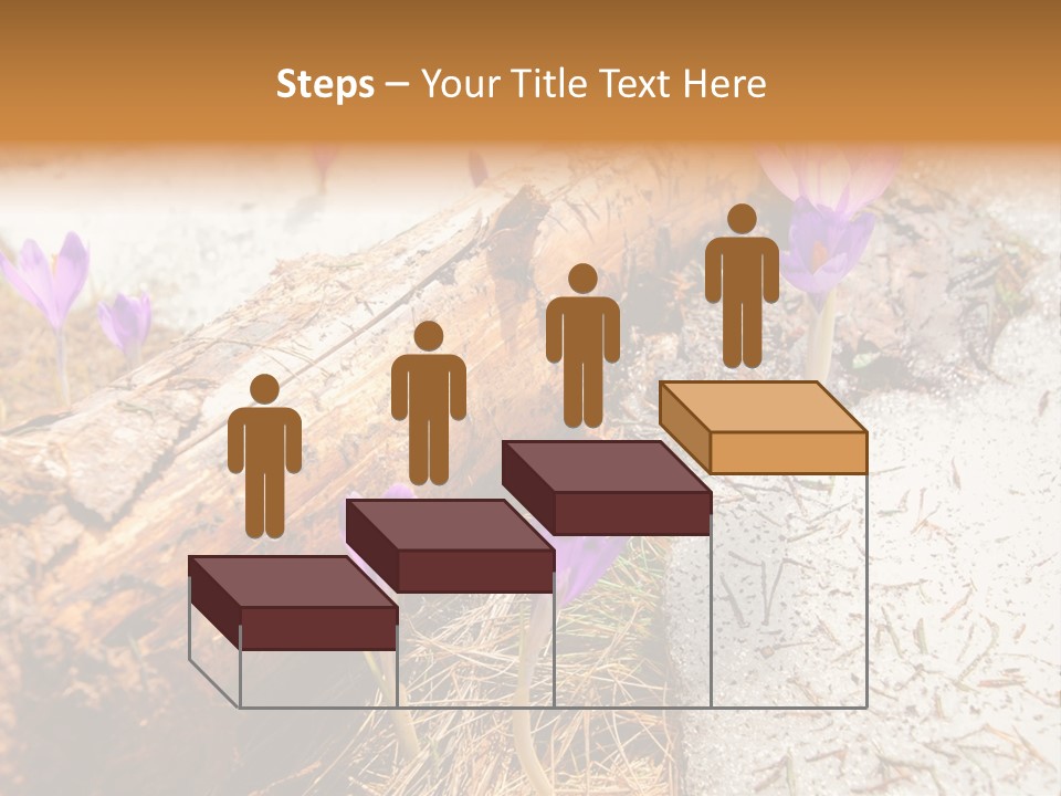 Snowdrops PowerPoint Template