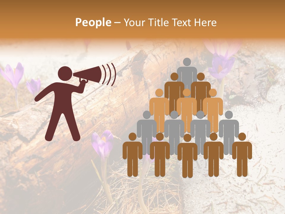 Snowdrops PowerPoint Template