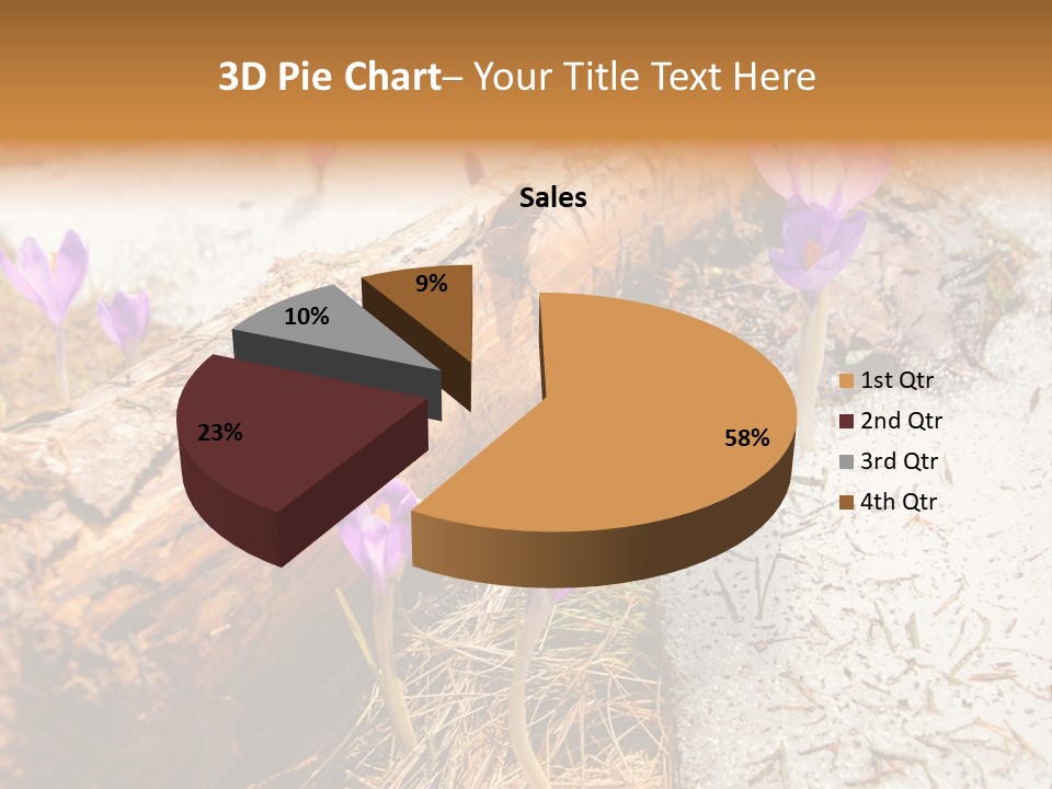 Snowdrops PowerPoint Template