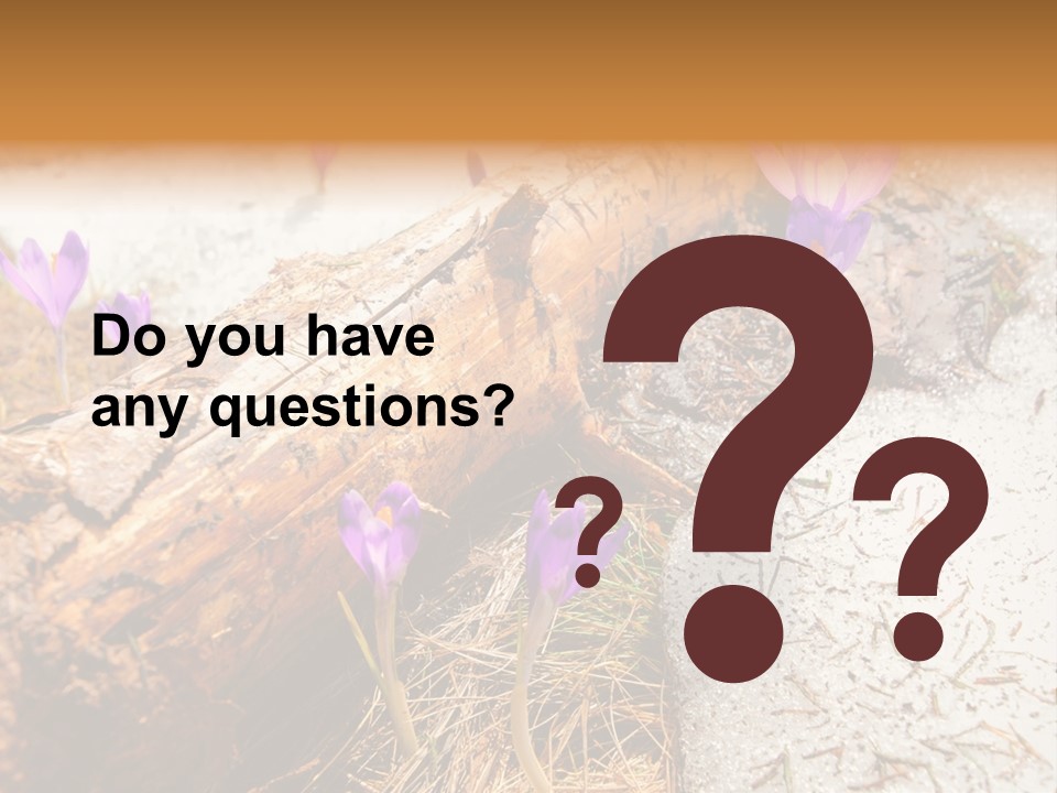 Snowdrops PowerPoint Template