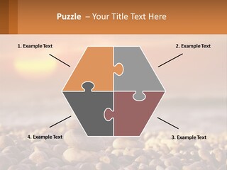 Sunset By The Sea PowerPoint Template