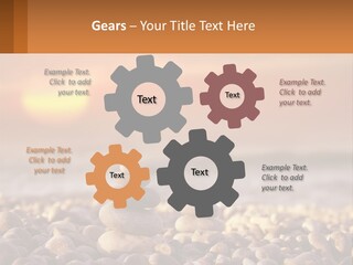 Sunset By The Sea PowerPoint Template