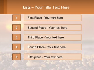 Sunset By The Sea PowerPoint Template