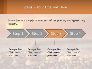 Sunset By The Sea PowerPoint Template