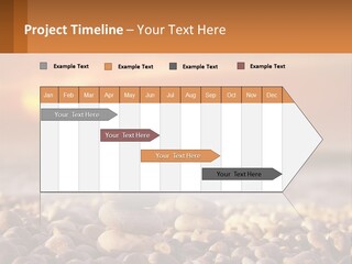 Sunset By The Sea PowerPoint Template