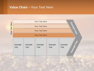 Sunset By The Sea PowerPoint Template