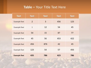 Sunset By The Sea PowerPoint Template
