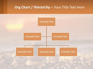 Sunset By The Sea PowerPoint Template