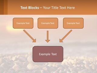 Sunset By The Sea PowerPoint Template