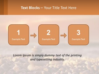 Sunset By The Sea PowerPoint Template