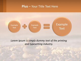 Sunset By The Sea PowerPoint Template