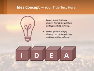 Sunset By The Sea PowerPoint Template