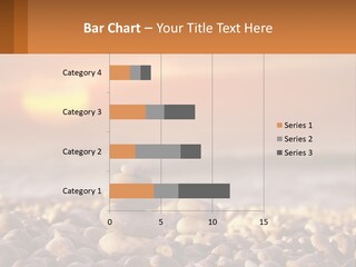 Sunset By The Sea PowerPoint Template