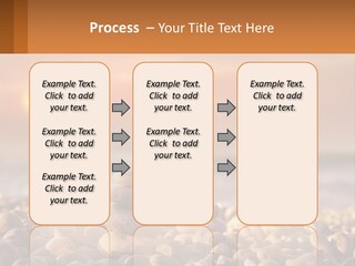 Sunset By The Sea PowerPoint Template