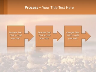 Sunset By The Sea PowerPoint Template