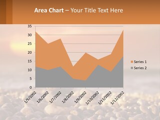 Sunset By The Sea PowerPoint Template