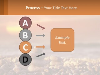 Sunset By The Sea PowerPoint Template