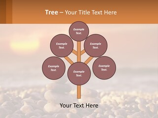 Sunset By The Sea PowerPoint Template