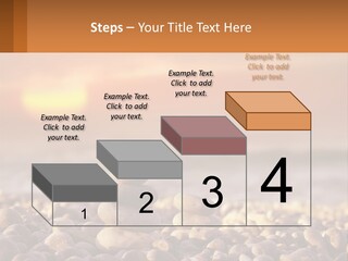 Sunset By The Sea PowerPoint Template