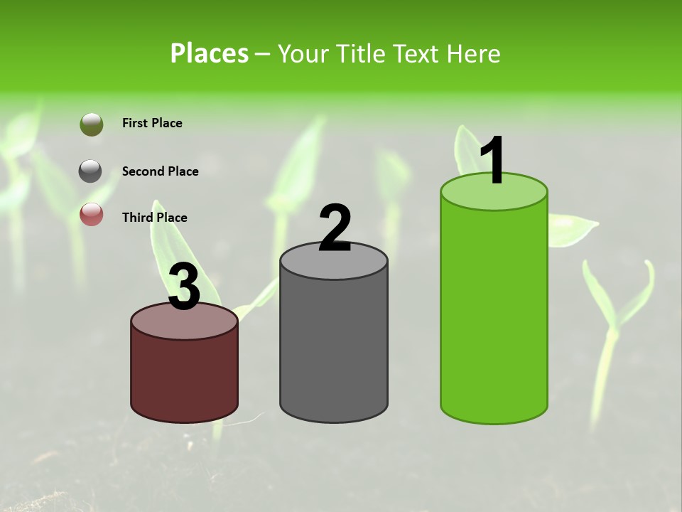 Seed Growth PowerPoint Template