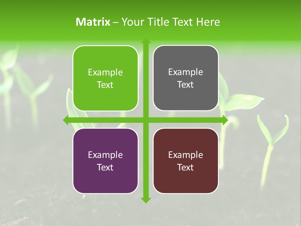 Seed Growth PowerPoint Template