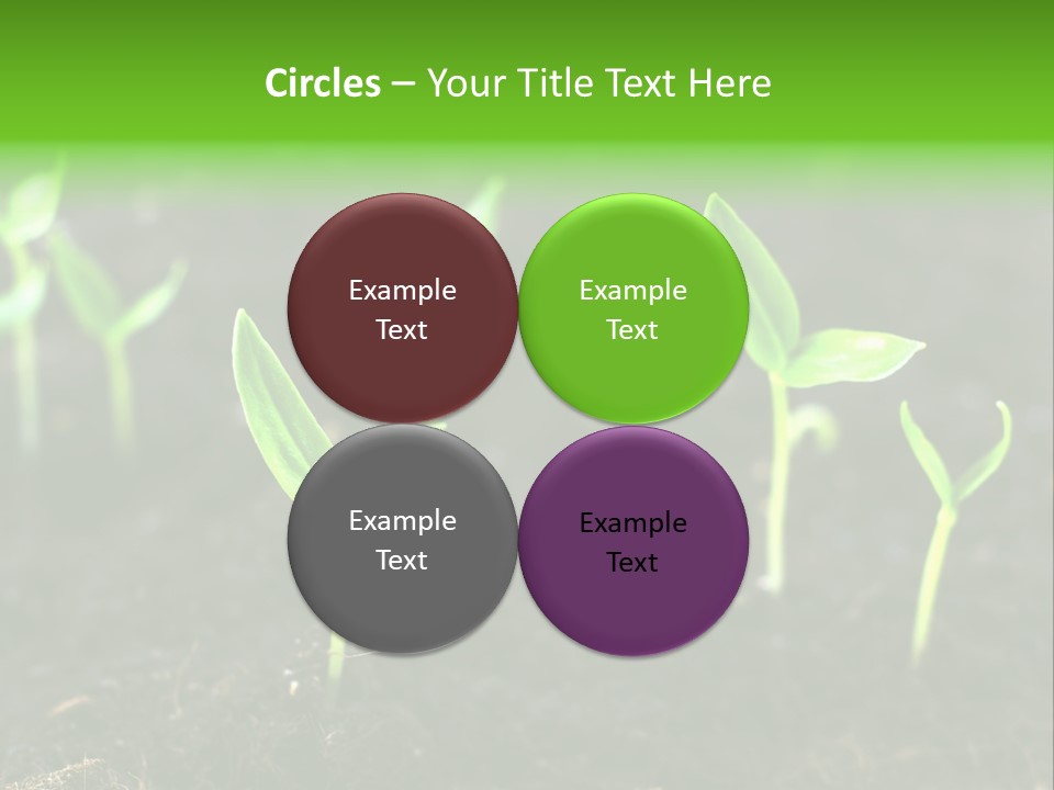 Seed Growth PowerPoint Template