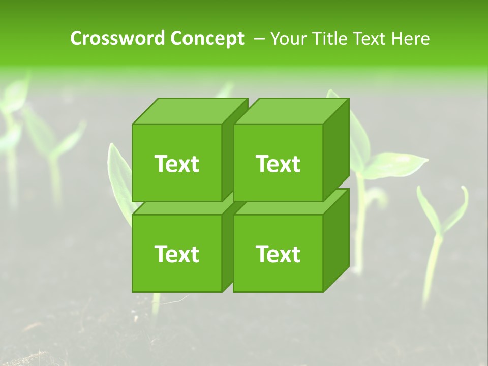 Seed Growth PowerPoint Template