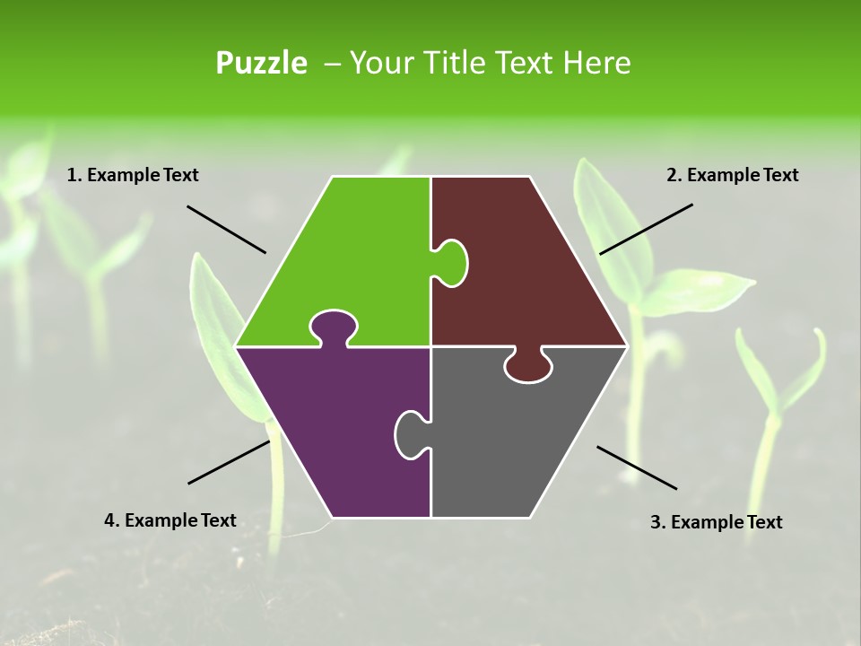 Seed Growth PowerPoint Template