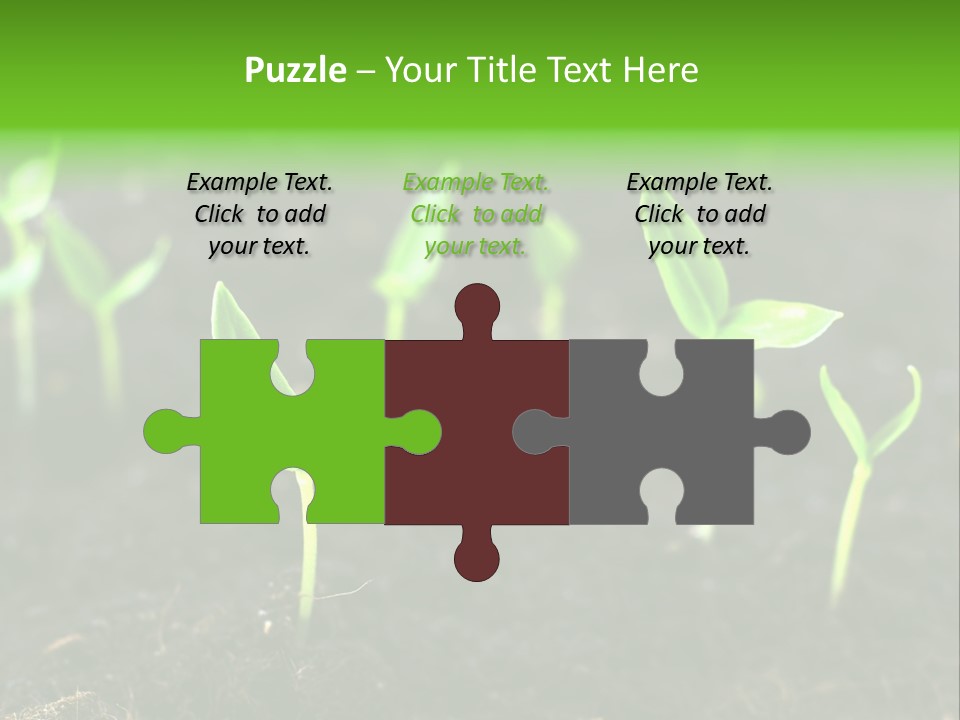 Seed Growth PowerPoint Template