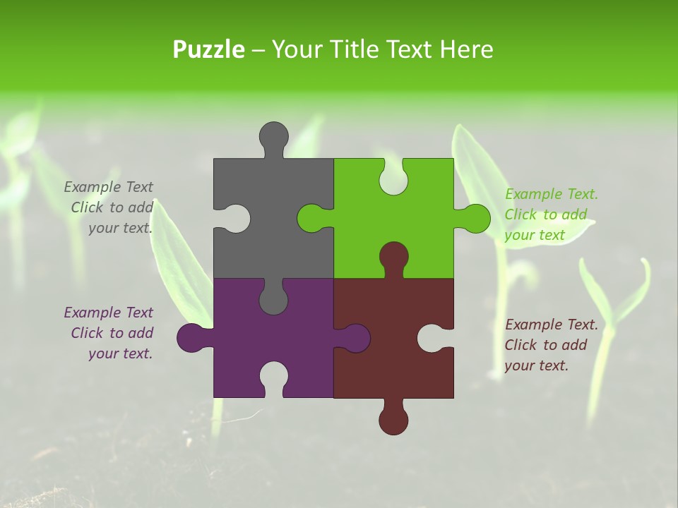 Seed Growth PowerPoint Template