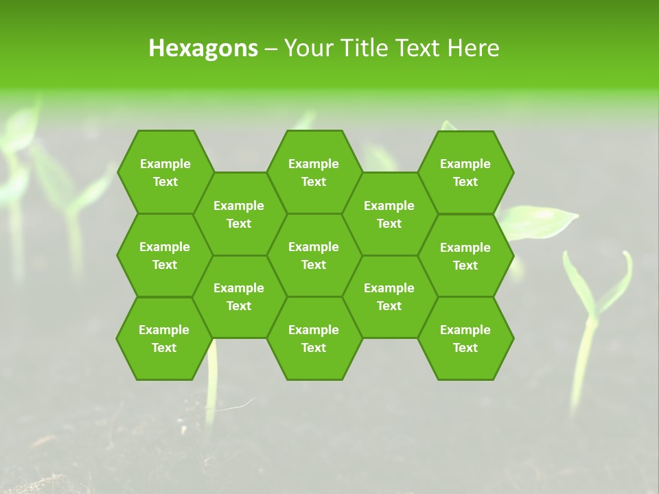 Seed Growth PowerPoint Template