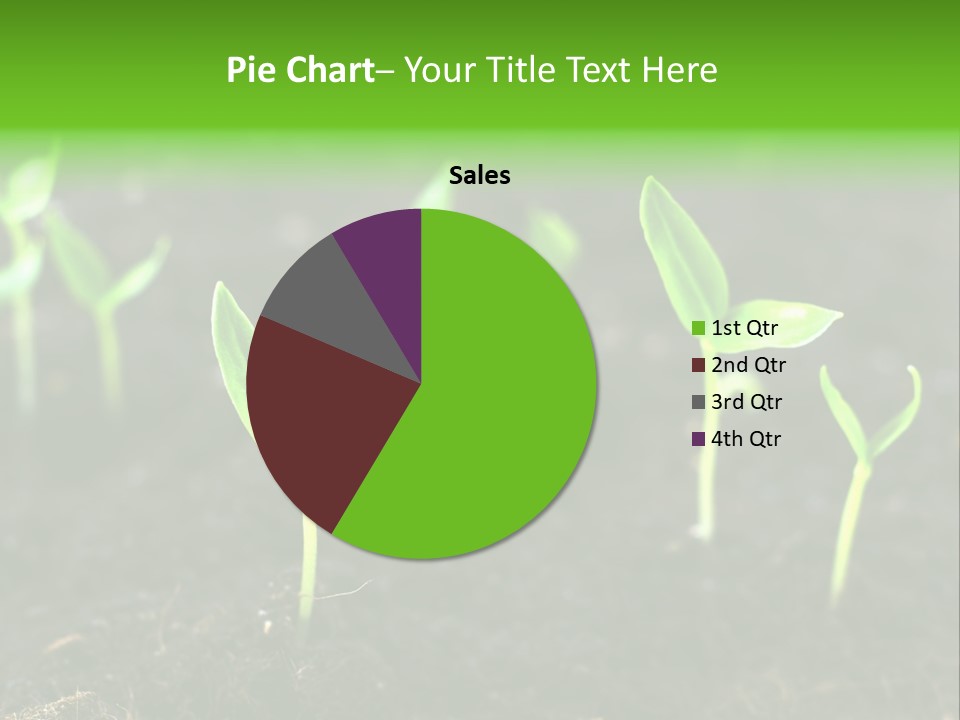 Seed Growth PowerPoint Template
