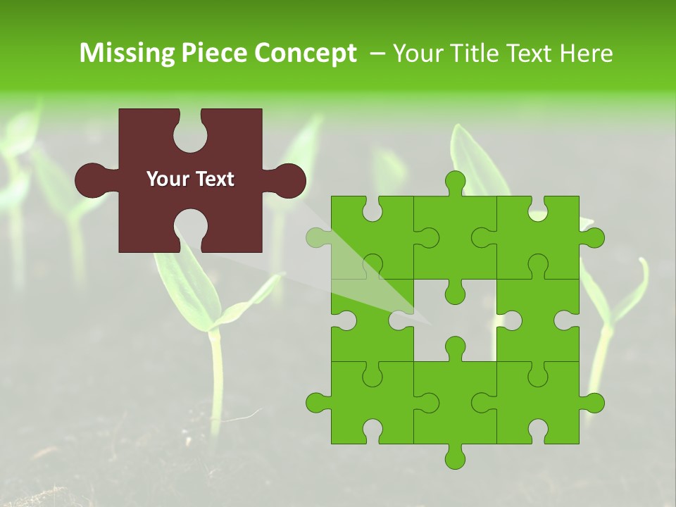 Seed Growth PowerPoint Template