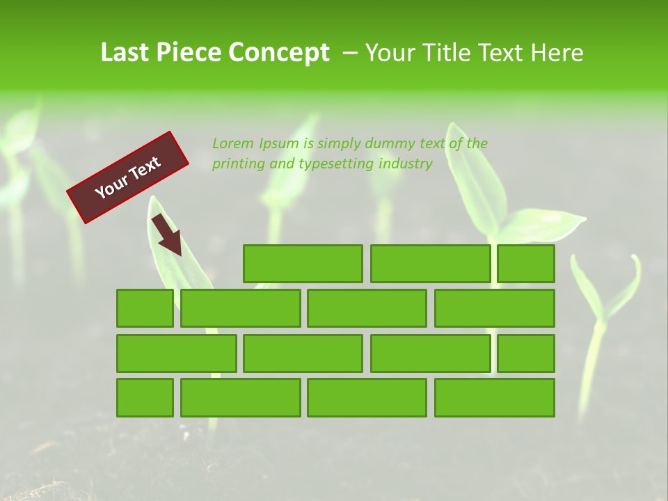Seed Growth PowerPoint Template