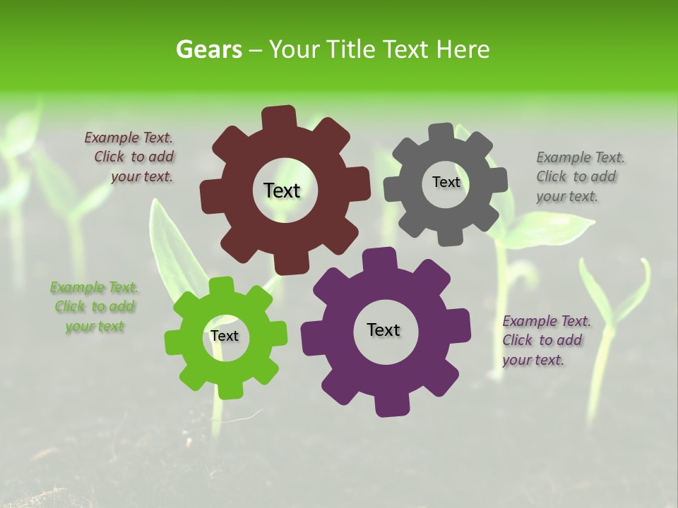 Seed Growth PowerPoint Template