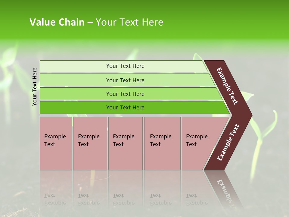 Seed Growth PowerPoint Template