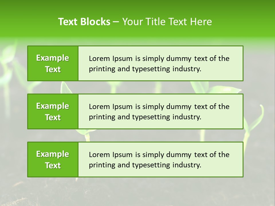 Seed Growth PowerPoint Template