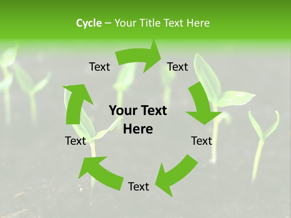Seed Growth PowerPoint Template