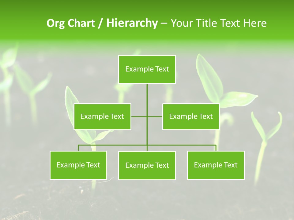 Seed Growth PowerPoint Template