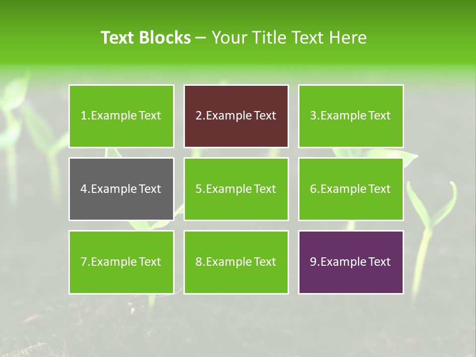 Seed Growth PowerPoint Template
