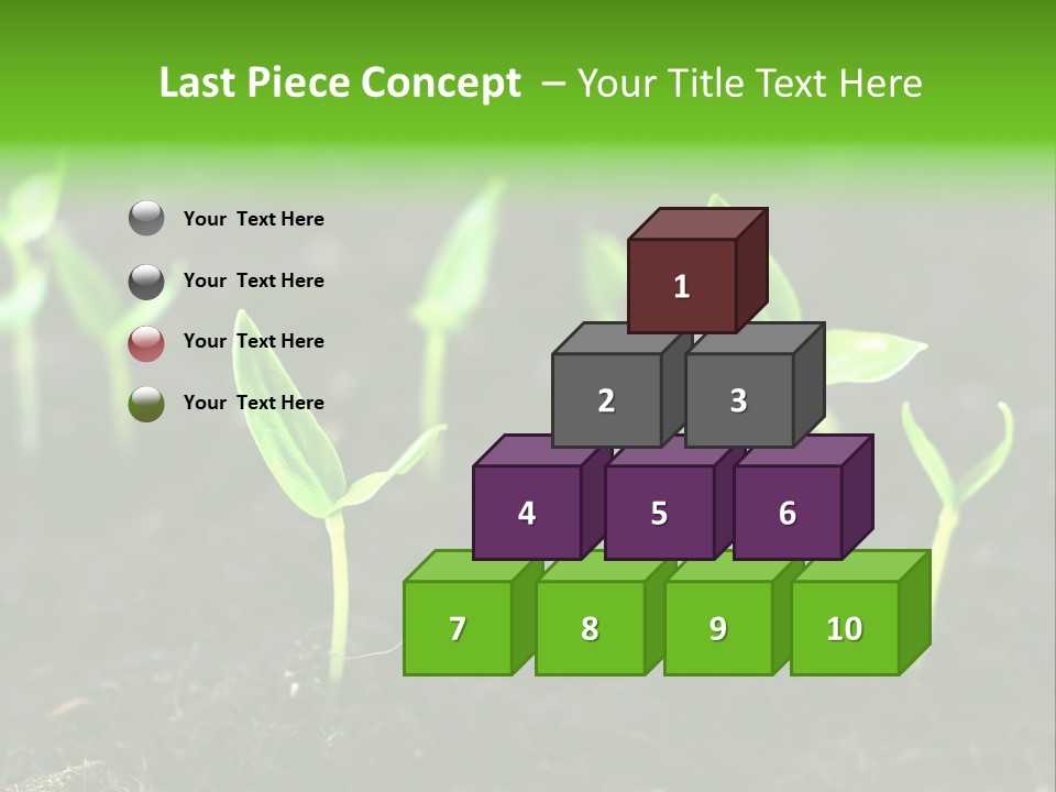 Seed Growth PowerPoint Template