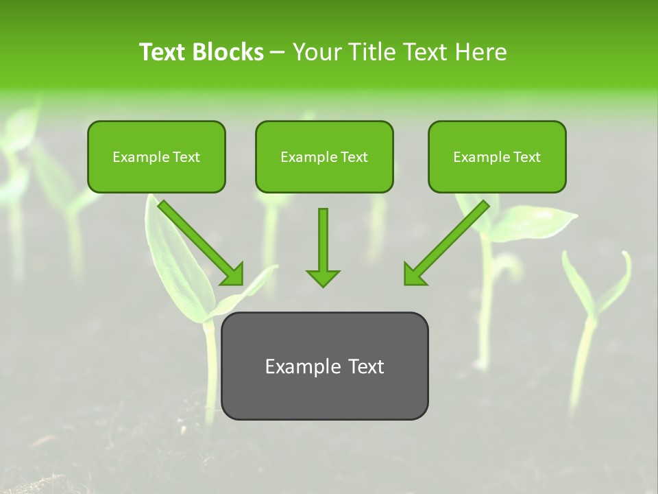Seed Growth PowerPoint Template