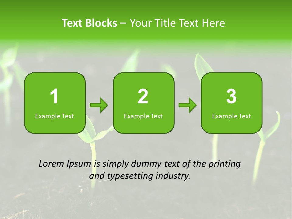 Seed Growth PowerPoint Template