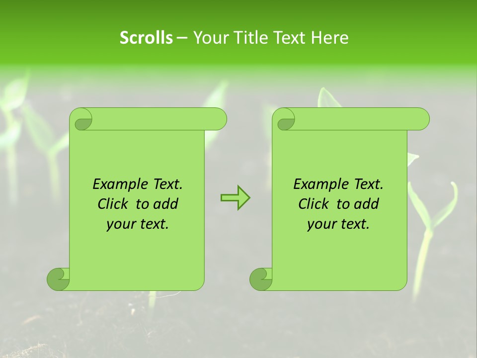 Seed Growth PowerPoint Template
