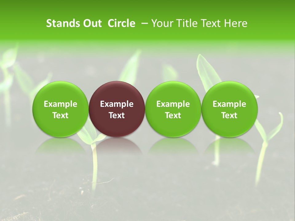 Seed Growth PowerPoint Template